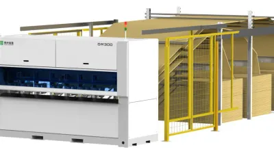 Mașină automată de produs cutii de carton pentru ambalare DM300 SERVO Nanxing — vedere de ansamblu